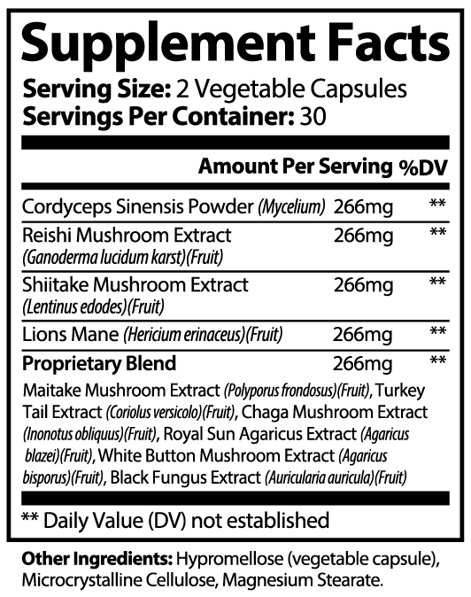 MINDLOCK - 10X Mushroom Nootropic Stack